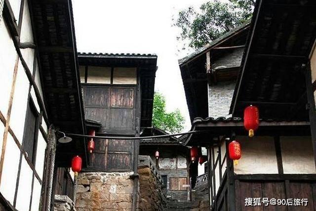 抓好机关党建要善用“种树之道”